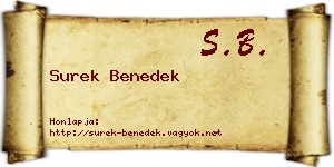 Surek Benedek névjegykártya